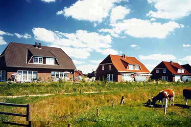 Three modern houses with sloped roofs stand under a blue sky with scattered clouds. In the foreground, cows graze on green grass behind a wooden fence. The scene appears peaceful and rural.